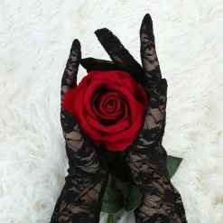 Allegra K Lady Floral Lace Wrist Length Full Finger Gloves Pair Accessories