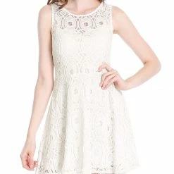 Allegra K Women's Floral Lace Sleeveless Semi Sheer Yoke Flare Mini Dress