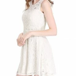 Allegra K Women's Floral Lace Sleeveless Semi Sheer Yoke Flare Mini Dress