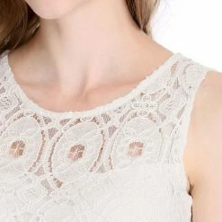 Allegra K Women's Floral Lace Sleeveless Semi Sheer Yoke Flare Mini Dress