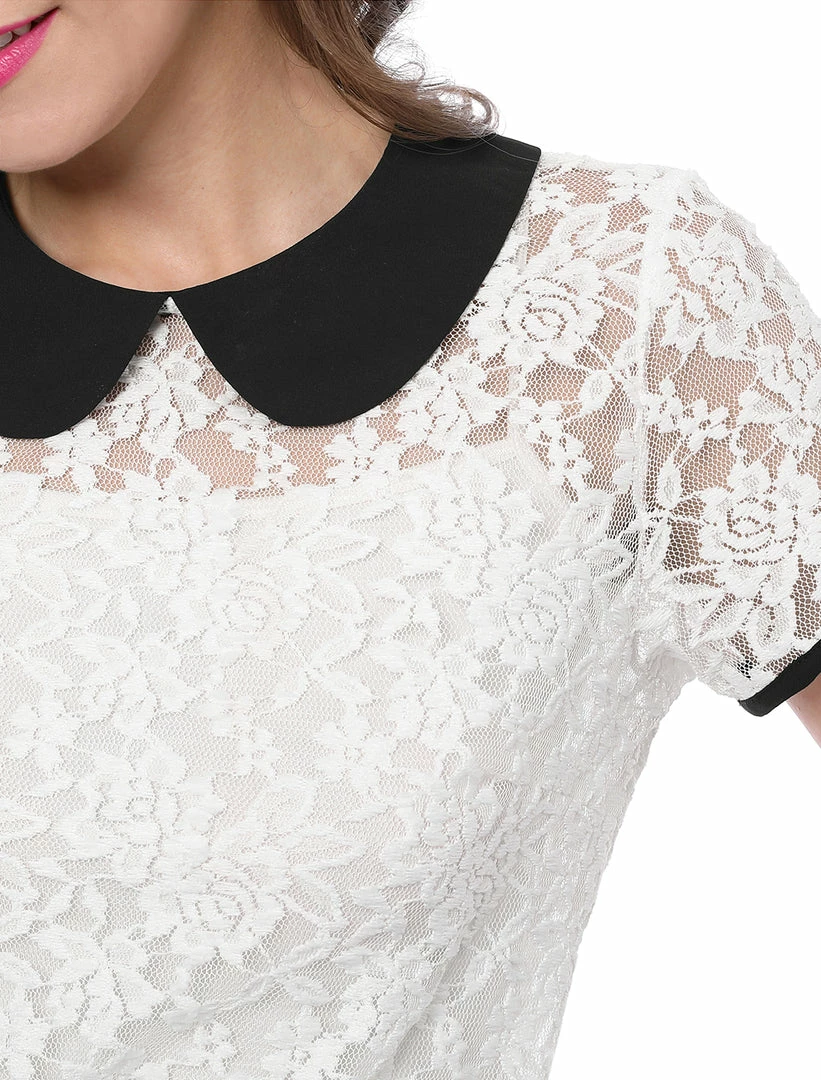 Allegra K Women's Contrast Doll Collar Short Sleeve Tops Sheer Lace Top 58 Allegra K Women's Contrast Doll Collar Short Sleeve Tops Sheer Lace Top