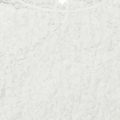 Women Allegra K Scalloped Trim Short Shirred Sleeves Sheer Floral Lace Top