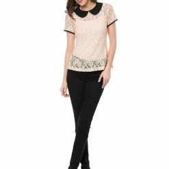 Allegra K Women's Contrast Doll Collar Short Sleeve Tops Sheer Lace Top 104 Allegra K Women's Contrast Doll Collar Short Sleeve Tops Sheer Lace Top