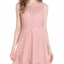 Allegra K Women's Floral Lace Sleeveless Semi Sheer Yoke Flare Mini Dress