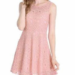 Allegra K Women's Floral Lace Sleeveless Semi Sheer Yoke Flare Mini Dress