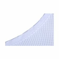 Allegra K Women 2 Pack Trendy Strechy Fishnet Mesh Net Stockings Pantyhose