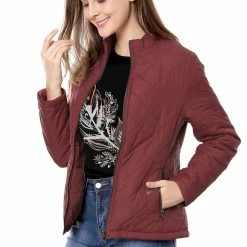 Women Allegra K Skyliner Model Down Jacket With Stand Collar