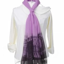 Allegra K Long Chiffon Lightweight Scarf Gradient Color Scarf Spring Summer For Women
