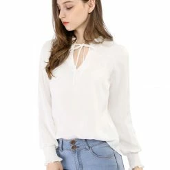 Allegra K Casual Bow Tie Long Sleeve Shirt Chiffon Blouse Women