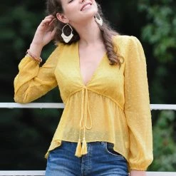 Allegra K Deep V Neck Drawstring Ruffled Swiss Dots Long Sleeves Sheer Chiffon Blouse