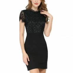 Women Allegra K Lace Floral Crew Neck Short Sleeves Dress