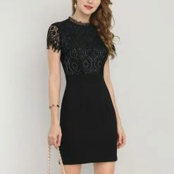 Women Allegra K Lace Floral Crew Neck Short Sleeves Dress