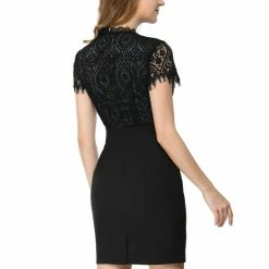 Women Allegra K Lace Floral Crew Neck Short Sleeves Dress