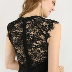 Women Allegra K Lace Back Sheer Sleeveless Dress
