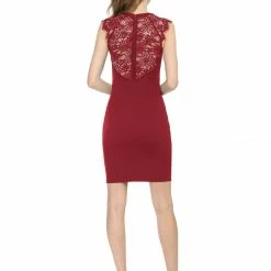 Women Allegra K Lace Back Sheer Sleeveless Dress