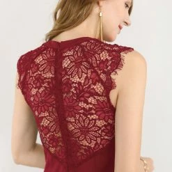 Women Allegra K Lace Back Sheer Sleeveless Dress