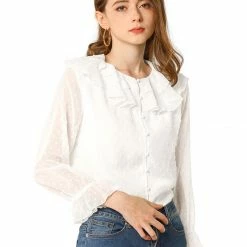 Allegra K Women's Ruffle Neck Polka Dot Button Front Sheer Chiffon Blouse