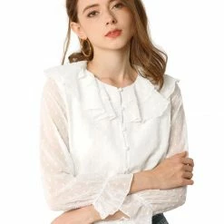 Allegra K Women's Ruffle Neck Polka Dot Button Front Sheer Chiffon Blouse