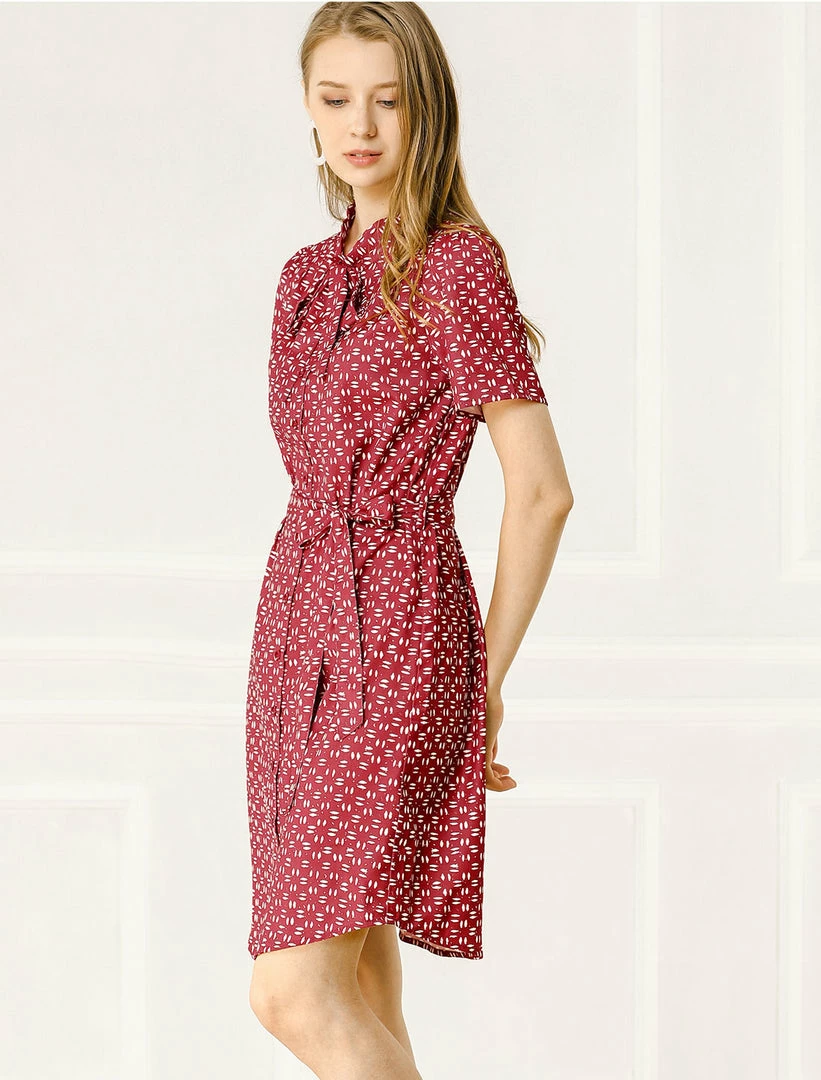 Allegra K Women's Dot Printed Tie Neck Button Down Belt Vintage Dress 7 Allegra K Women's Dot Printed Tie Neck Button Down Belt Vintage Dress