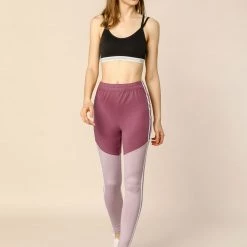 Allegra K Women's High Elastic Waist Pants Stretchy Workout Running Yoga Leggings