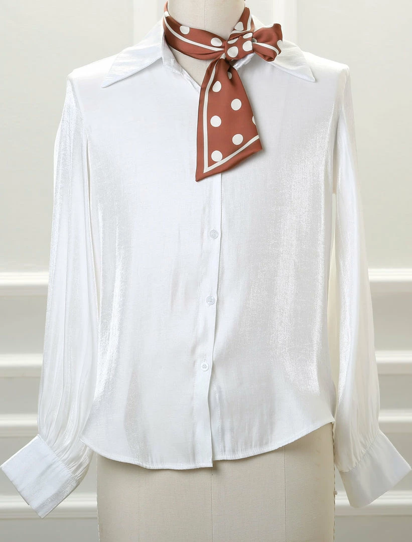 Allegra K Women Polka Dots Bevel Small Skinny Scarf Oblique Neck Scarves Double-Sided Neckerchief 4 Allegra K Women Polka Dots Bevel Small Skinny Scarf Oblique Neck Scarves Double-Sided Neckerchief