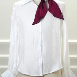 Allegra K Women Plain Solid Color Pure Skinny Scarf Scarves Long Neckerchief Hair Band