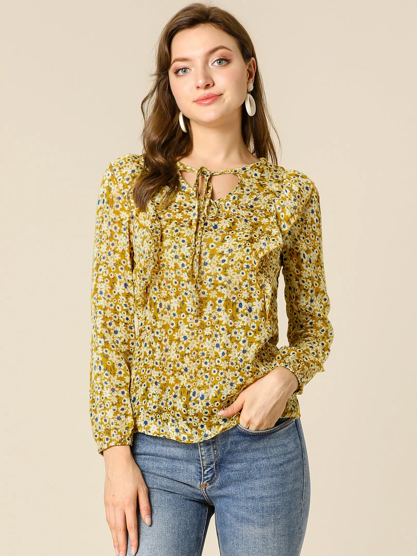 Allegra K Women's Casual Fall Long Sleeve Tops Chiffon Ruffle Tie Neck Floral Blouse 5 Allegra K Women's Casual Fall Long Sleeve Tops Chiffon Ruffle Tie Neck Floral Blouse