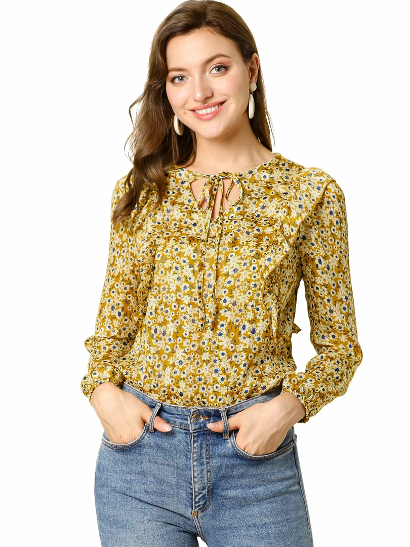 Allegra K Women's Casual Fall Long Sleeve Tops Chiffon Ruffle Tie Neck Floral Blouse 4 Allegra K Women's Casual Fall Long Sleeve Tops Chiffon Ruffle Tie Neck Floral Blouse