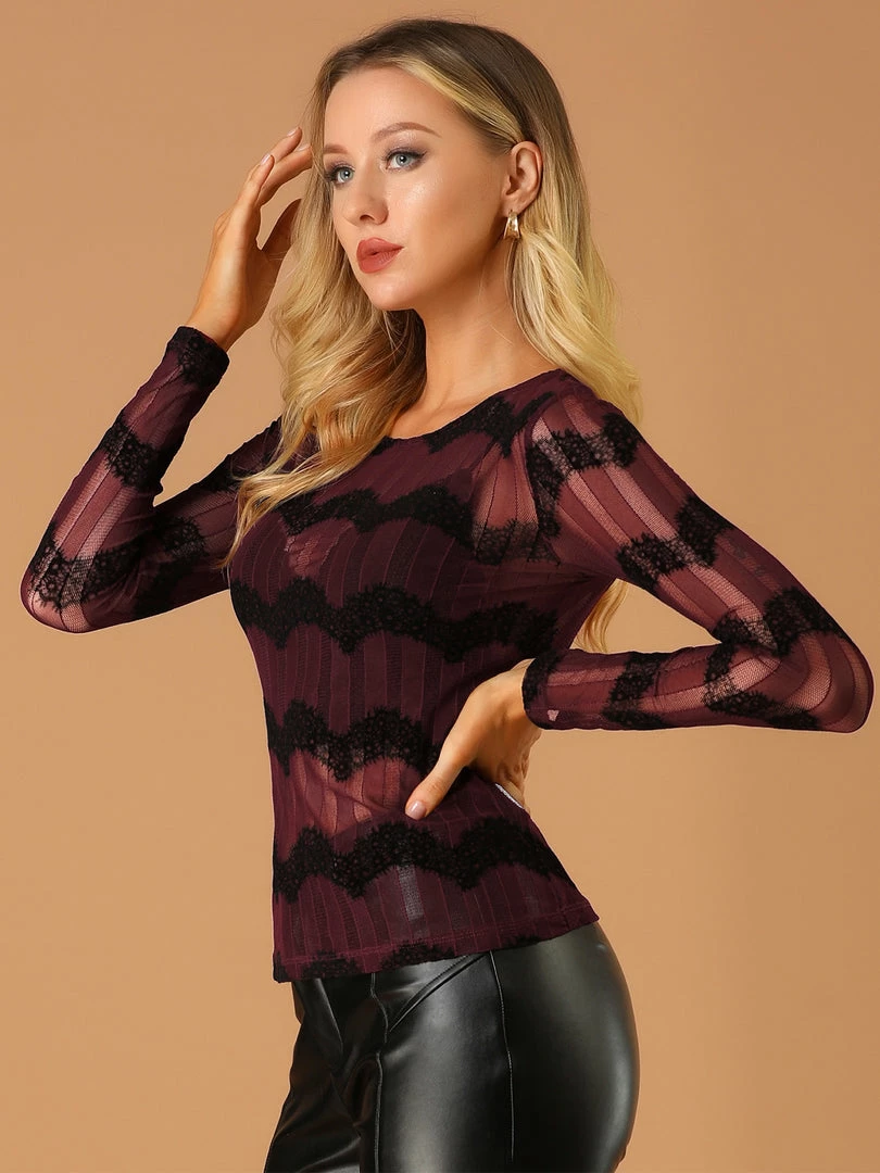 Allegra K Women's Lace Knit Blouse Round Neck Long Sleeve Chevron Sheer Fitted Top Shirt 7 Allegra K Women's Lace Knit Blouse Round Neck Long Sleeve Chevron Sheer Fitted Top Shirt