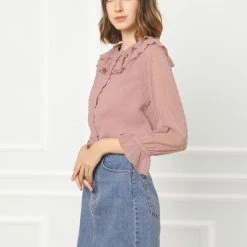 Allegra K Women's Ruffle Neck Polka Dot Button Front Sheer Chiffon Blouse