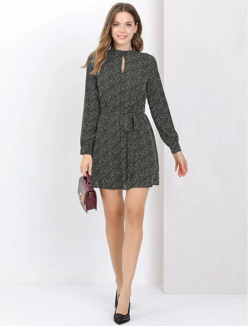 Allegra K Women's Dots Long Sleeve Mock Neck Keyhole Tie Waist A-line Dress 12 Allegra K Women's Dots Long Sleeve Mock Neck Keyhole Tie Waist A-line Dress