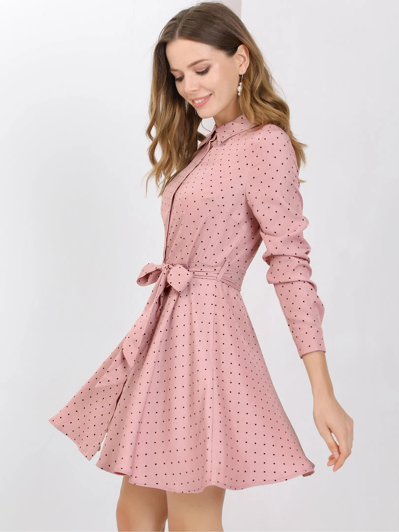 Allegra K Women's Polka Dots Long Sleeve Button Up A Line Shirt Dress 17 Allegra K Women's Polka Dots Long Sleeve Button Up A Line Shirt Dress