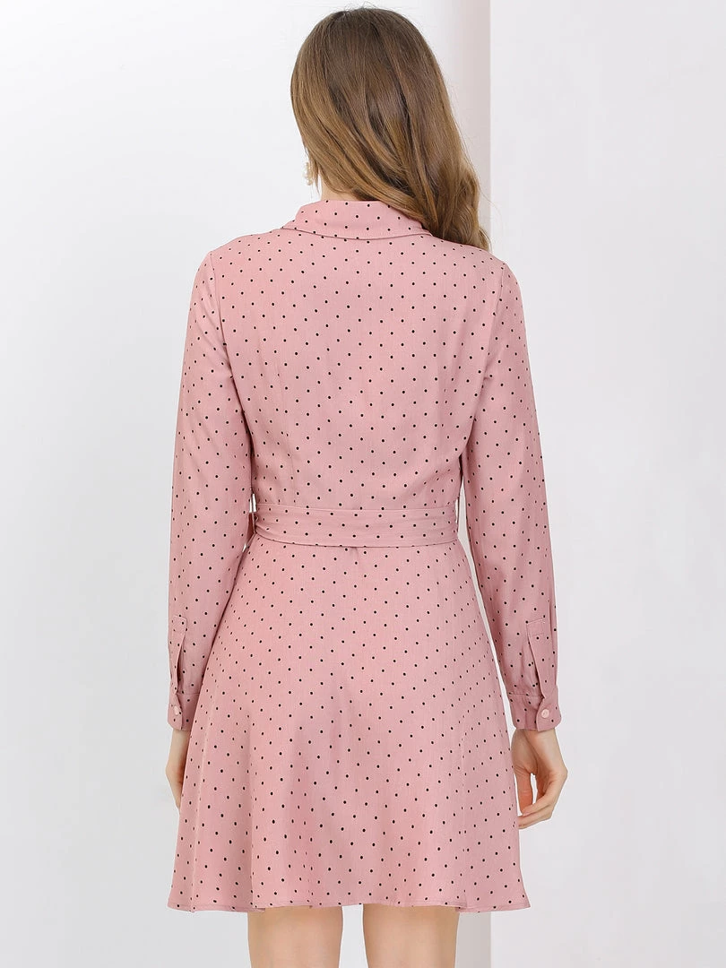 Allegra K Women's Polka Dots Long Sleeve Button Up A Line Shirt Dress 20 Allegra K Women's Polka Dots Long Sleeve Button Up A Line Shirt Dress