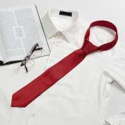 Allegra K Accessories Classic Solid Color Formal Casual Ties Self Tie Glossy Business Neckties For Men