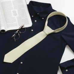 Allegra K Accessories Classic Solid Color Formal Casual Ties Self Tie Glossy Business Neckties For Men