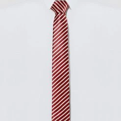 Allegra K Accessories Classic Self-Tied Stripe Necktie Skinny Tie Slim Ties For Women Men