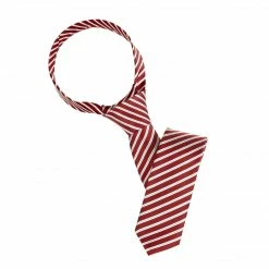 Allegra K Accessories Classic Self-Tied Stripe Necktie Skinny Tie Slim Ties For Women Men