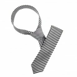 Allegra K Accessories Classic Self-Tied Stripe Necktie Skinny Tie Slim Ties For Women Men