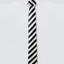 Allegra K Accessories Classic Self-Tied Stripe Necktie Skinny Tie Slim Ties For Women Men