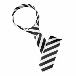 Allegra K Accessories Classic Self-Tied Stripe Necktie Skinny Tie Slim Ties For Women Men