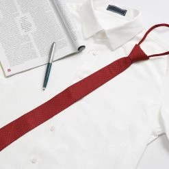 Allegra K Pre Tied Polka Dots Formal Casual Narrow Slim Ties Adjustable Zipper Neck Tie For Men Accessories