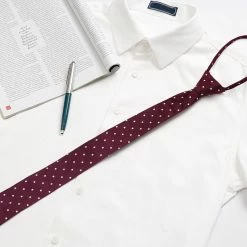 Allegra K Pre Tied Polka Dots Formal Casual Narrow Slim Ties Adjustable Zipper Neck Tie For Men Accessories