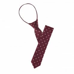 Allegra K Pre Tied Polka Dots Formal Casual Narrow Slim Ties Adjustable Zipper Neck Tie For Men Accessories