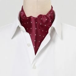 Allegra K Accessories Men's Cravat Ties Self Tied Wedding Polka Dots Ascot Tie
