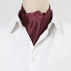 Allegra K Men's Polka Dots Self-Tied Neck Cravat Tie Ascot Tie Formal Party Cravats Accessories