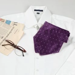 Allegra K Accessories Men's Cravat Ties Self Tied Wedding Polka Dots Ascot Tie