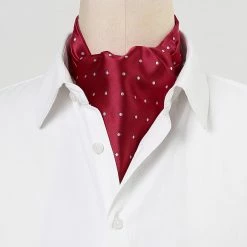 Allegra K Accessories Men's Cravat Ties Self Tied Wedding Polka Dots Ascot Tie