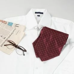 Allegra K Men's Polka Dots Self-Tied Neck Cravat Tie Ascot Tie Formal Party Cravats Accessories