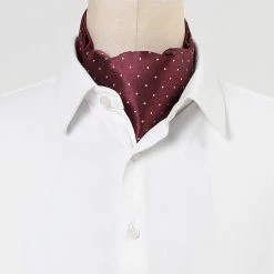 Allegra K Men's Polka Dots Self-Tied Neck Cravat Tie Ascot Tie Formal Party Cravats Accessories