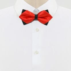 Allegra K Accessories Men's Pre-Tied Pointed Bow Ties Neck Strap Wedding Party Tuxedo Bowties